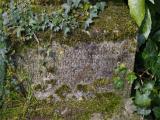 image of grave number 829700